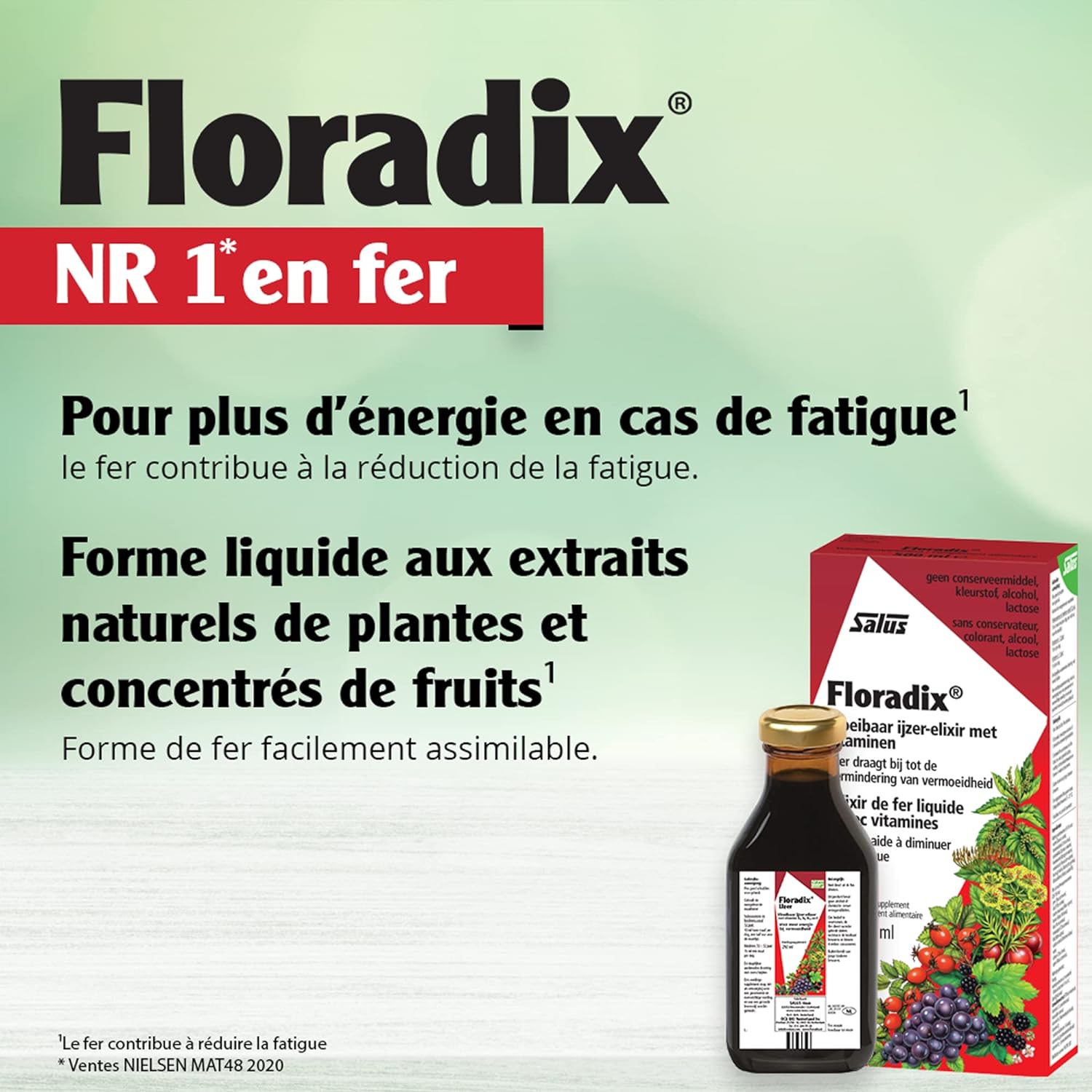 Floradix Liquid Iron and Vitamin Formula 250ml (Pack of 2)