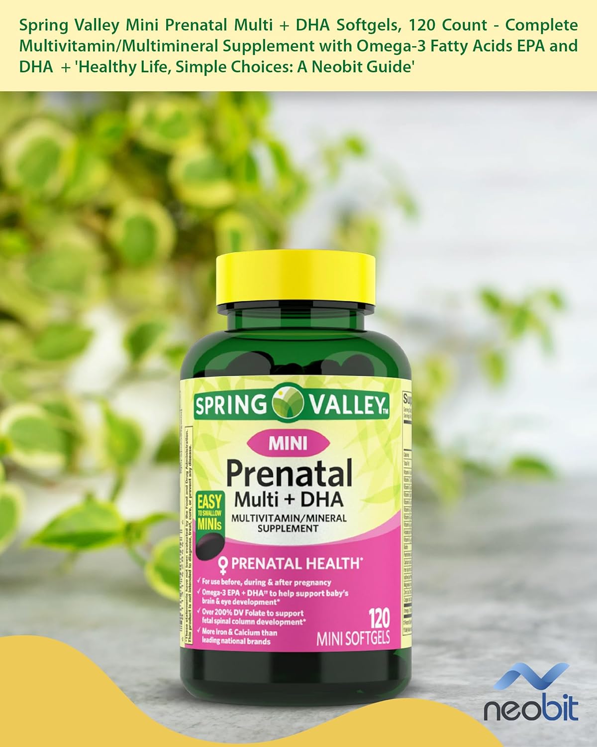 Spring Valley Mini Prenatal Multi + DHA Softgels, 120 Count - Complete Multivitamin/Multimineral Supplement with Omega-3 Fatty Acids EPA and DHA + Healthy Life, Simple Choices: Guide (2 Items)