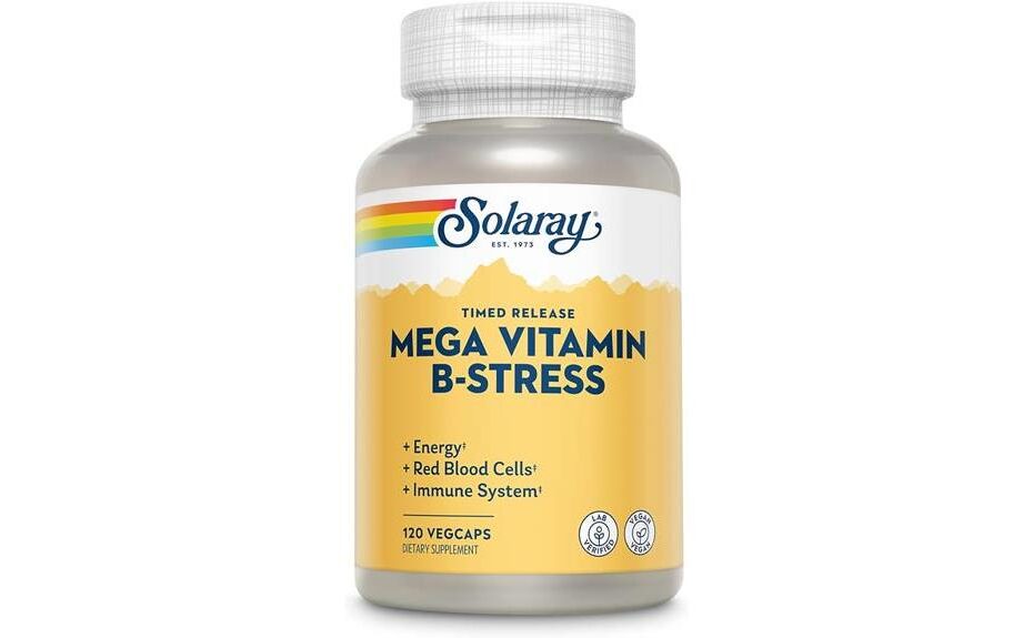 vitamin b stress supplement review