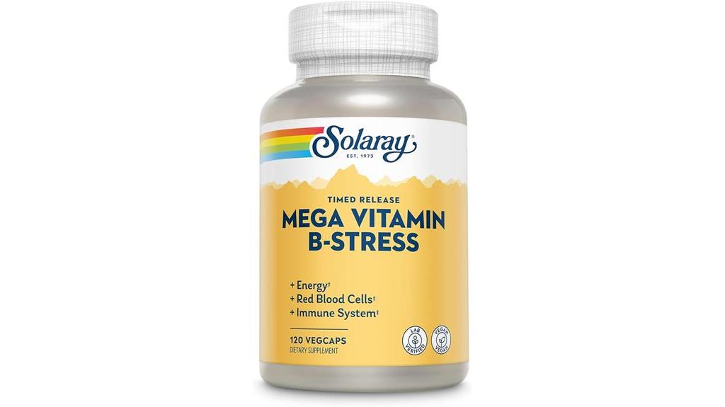 vitamin b stress supplement review