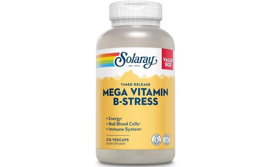 vitamin b stress supplement review